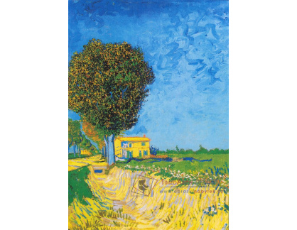 R2-16 Vincent van Gogh - Alej v Arles s domem