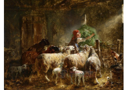 VSO 1114 Otto Gebler - Krmení ovcí