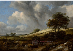 SO V-488 Jacob Isaacksz van Ruisdael - Obilné pole se Zuiderzee na pozadí