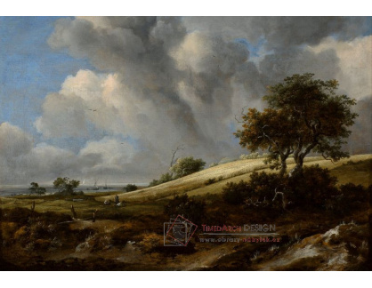 SO V-488 Jacob Isaacksz van Ruisdael - Obilné pole se Zuiderzee na pozadí