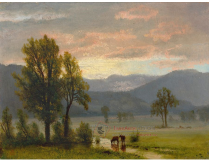 SO XVI-53 Albert Bierstadt - Krajina s dobytkem