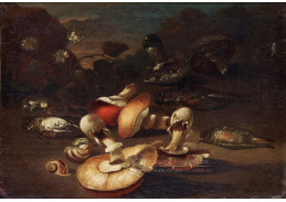 VZ194 Giuseppe Recco - Zátiší s ptáky a houbami 