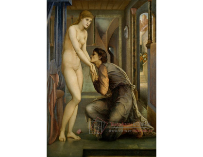 A-5696 Edward Burne-Jones - Pygmalion a obraz