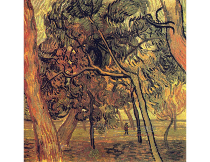  VR2-243 Vincent van Gogh - Studium mezi smrky na podzim