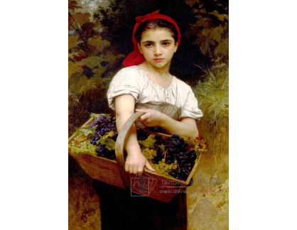 VR15-26 Adolph William Bouguereau - Sběračka hroznů