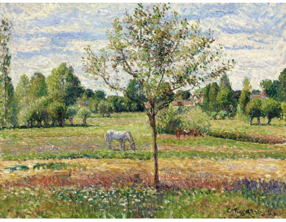 VCP-421 Camille Pissarro - Šedý kůň v Eragny