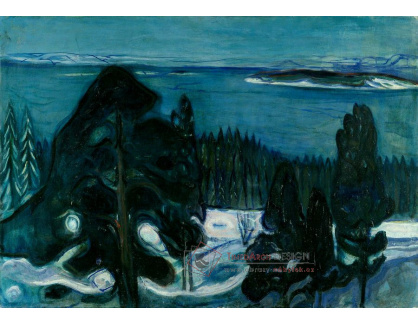 VEM13-134 Edvard Munch - Zimní noc