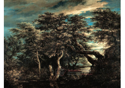 SOXII-203 Jacob van Isaacksz Ruisdael - Bažiny v lese za soumraku