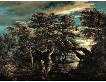 SOXII-203 Jacob van Isaacksz Ruisdael - Bažiny v lese za soumraku