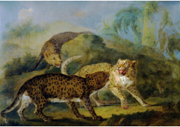 KO IV-14 Jacques-Charles Oudry - Tři leopardi