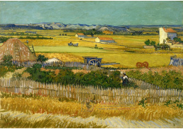 A-17 Vincent van Gogh - Sklizeň v La Crau