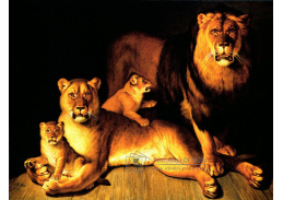 VSO 616 Jean Baptiste Huet - Pýcha lvů