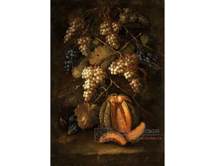 VZ169 Gilardo da Lodi - Zátiší s hrozny