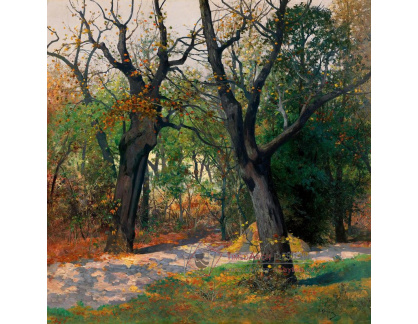 D-9780-1 Carl Moll - Alej