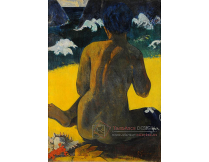 VPG 45 Paul Gauguin - Žena u moře