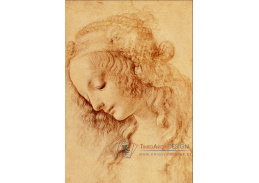 VR1-16 Leonardo da Vinci - Studie ženské hlavy z profilu