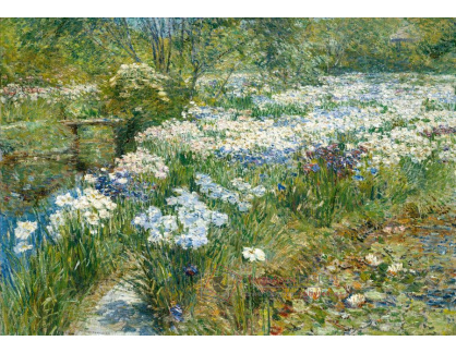 VSO 542 Childe Hassam - Vodní zahrada