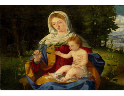 SO VI-203 Andrea Mantegna - Madonna s dítětem a olivovou větví