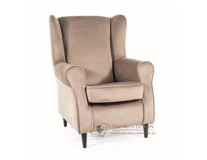 BARON, čalouněné křeslo, wenge / látka velvet Bluvel 40 tmavě béžová