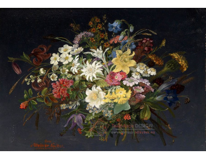 A-1309 Anna Stainer-Knittel - Alpské květiny