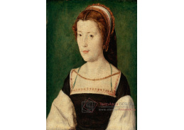 DDSO-2582 Corneille de Lyon - Portrét madame de Chateaubriand