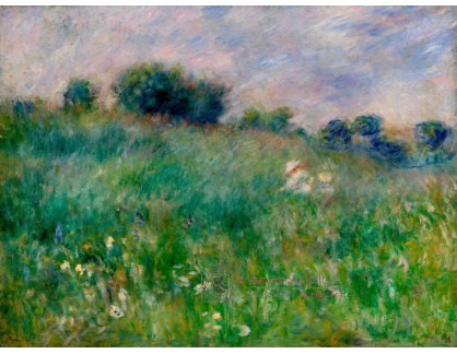 D-6852 Pierre-Auguste Renoir - Louka