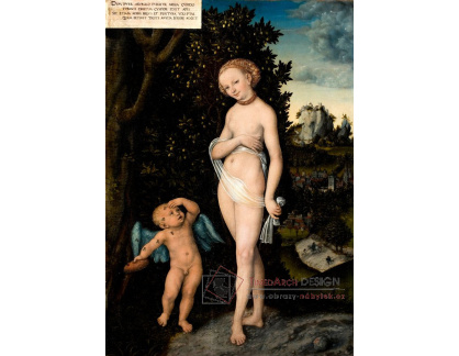 VlCR-178 Lucas Cranach - Amor a Venuše