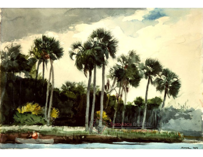 VU58 Winslow Homer - Červená košile, Florida