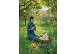 KO V-301 Virginie Demont-Breton - Pod pomerančovníkem