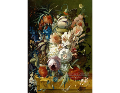 VKZ 509 Joris-Frederik Ziesel - Zátiší s květinami