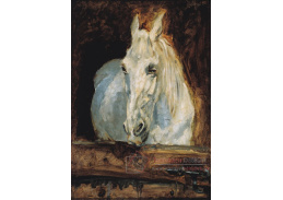 D-6352 Henri de Toulouse-Lautrec - Kobylka Gazelle