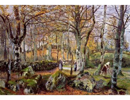 VCP-165 Camille Pissarro - Krajina se skálami v Montfoucault