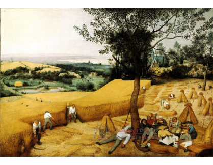 BRG-179 Pieter Brueghel - Sklizeň