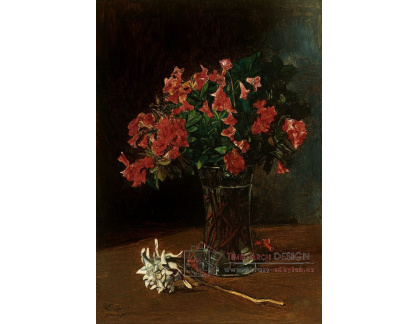 VN-274 Wilhelm Trübner - Váza s květinami
