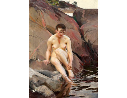 SO VII-255 Anders Zorn - Na skále