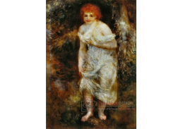 VR14-220 Pierre-Auguste Renoir - Jaro