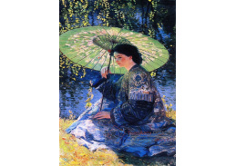 VU160 Guy Rose - Zelený deštník