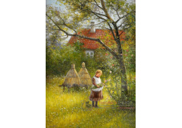 VSO206 Severin Nilsson - Lillian v zahradě