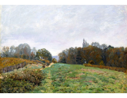 SO XI-6 Alfred Sisley - Krajina v Louveciennes