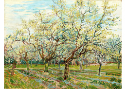 VR2-344 Vincent van Gogh - Bílý sad