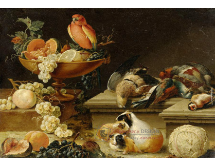 KO IV-167 Johann Amandus Winck - Zátiší s papouškem, morčaty a ovocem