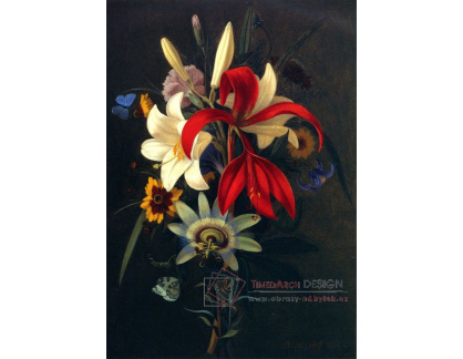VN-253 Adolph Senff - Zátiší s liliemi a dalšími květinami