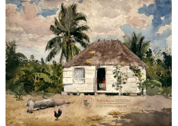 VU56 Winslow Homer - Domorodá chatrč v Nassau