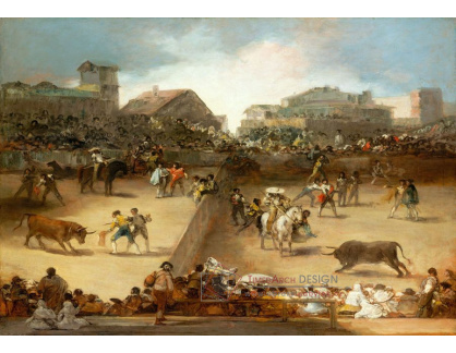 DDSO-2147 Francisco de Goya - Býčí zápasy