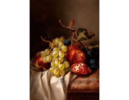 A-2896 Josef Lauer - Zátiší s hrozny, broskví a granátovým jablkem