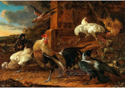 D-9579 Melchior de Hondecoeter - Kohout, slepice, vrána a káně v krajině