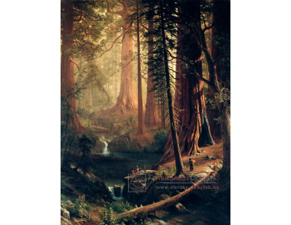 XV-52 Albert Bierstadt - Obří borovicové stromy Kalifornie