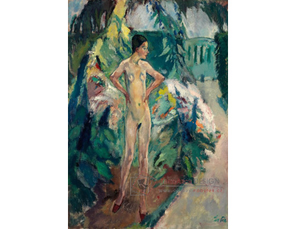 KO II-308 Leo Putz - Šedý den