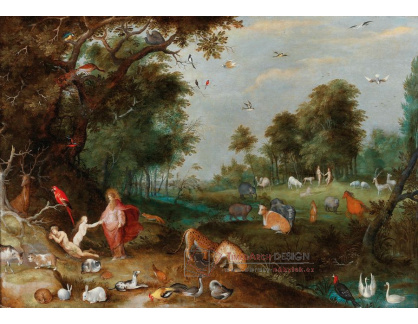 DDSO-3399 Frans Francken - Stvoření Evy