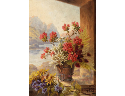 DDSO-5528 Pauline Halm-Flechner - Alpské květiny